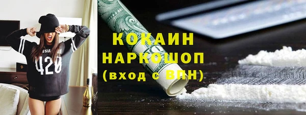 сатива Гусь-Хрустальный