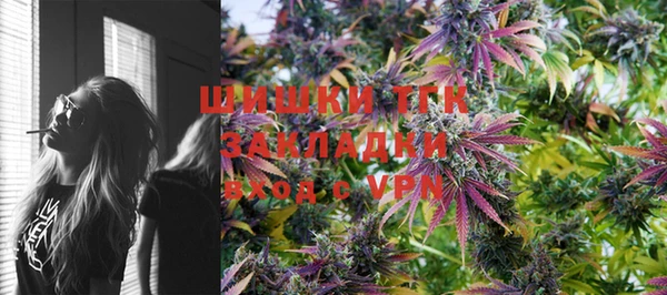 сатива Гусь-Хрустальный