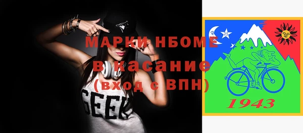 сатива Гусь-Хрустальный