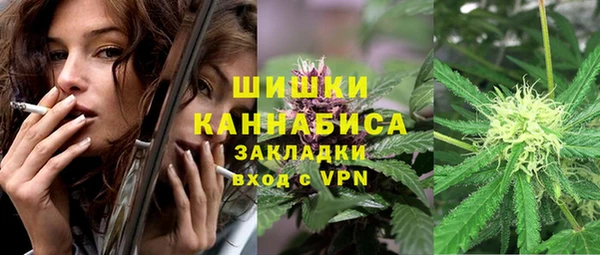 сатива Гусь-Хрустальный