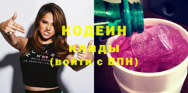 сатива Гусь-Хрустальный