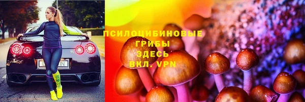 сатива Гусь-Хрустальный