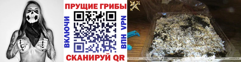 Купить  Выкса  Галлюциногенные грибы GOLDEN TEACHER 